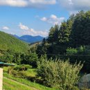 통나무펜션&편백쉼터 | 장성 통나무펜션&amp;편백쉼터 편백향으로 가득한 축령산 편백숲 근처 숙소