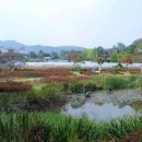 대전 대청호 자연생태관에는 생태 습지도 있다 /계족산 황토길 이미지