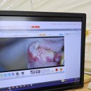 수사랑 동물병원 이미지