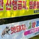 금오산로-3 이미지