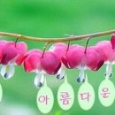 곤지암볼링쎈타 이미지