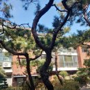 서초대로46길 47 이미지