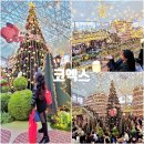 삼성도서관 | 강남 삼성 코엑스 별마당 도서관 트리 주말 후기