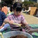 4월 3일 - 🥬모종 심기와 강낭콩 화분 만들기🫛 이미지