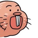 두더지손