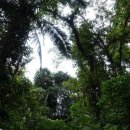 새들의천국 이미지