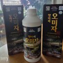 제주민요 | 제주 성읍민속마을 구경하는 집 솔직 후기 (ft. 달콤한 오미자청의 비밀)