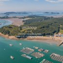 사랑해줄개 이미지