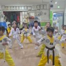 용인대명성태권도 - 금천구 독산로 131 | 용인대명성태권도
