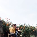 영빈다방 이미지