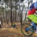 숲.MTB