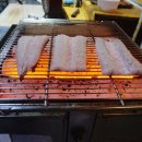 힘찬 민물 장어 이미지