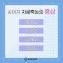 석적동물병원 이미지