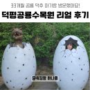 33 | 덕평공룡수목원 후기｜33개월 공룡 좋아하는 여자아이와 다녀온 리얼 방문기