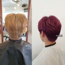 퍼플헤어 네이버블로그