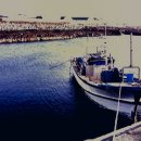 태흥1리 이미지