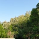 베드로농장 이미지