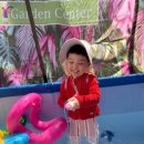 시냇가 푸른나무 유치원 이미지