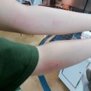 알라딘게임랜드 이미지