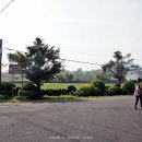 비자곶 | [제주 구좌] 800년된 신비한 나무 숲 - 비자림