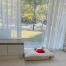 버디그루밍 이미지