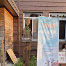 문화공간 예술텃밭 텃밭극장 | 강원도 문화예술공간_화천 복합문화공간 텃밭극장 공연 관람과 화초가 어우러진 친구 집 방문.