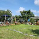 바다추억 이미지