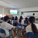 천안청룡초등학교 이미지