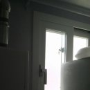 선정아파트 Daum카페