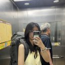 네일후이 이미지