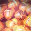 웰빙건강 식단 이미지