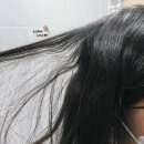 3958 | [대전 매직 추천] 내돈내산 n년째 찾아다니는 쌤 "후히"