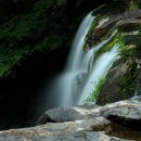 천제연폭포 이미지