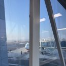 J여관 | 혼자 2박 3일 제주도뚜벅이여행 코스 1일차, 제주도 서쪽코스