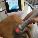 24시 명동물메디컬센터 이미지