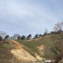 우리사슴목장 이미지