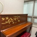 아르떼피아노교습소 - 북구 공항로15길 8 | 아르떼피아노교습소