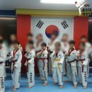 용인대 튼튼 태권도 이미지