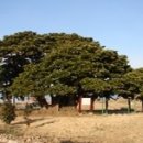 남해-299 이미지