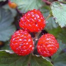 불너머마을회관 이미지