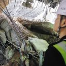 음성금석LH아파트 이미지