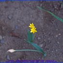 몰리(MOLY) 이미지