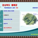 소로리 농장 이미지