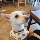 어반식당 이미지