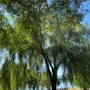 지에스25노들제일점 이미지