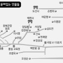 거목 이미지