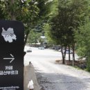 동희송어장