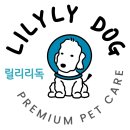 릴리리독 이미지