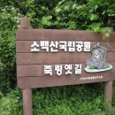 영원7주유소 이미지