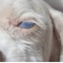 뉴월드동물병원 이미지